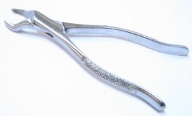 Dental Instruments Extracting Forceps 53L Stainless Steel